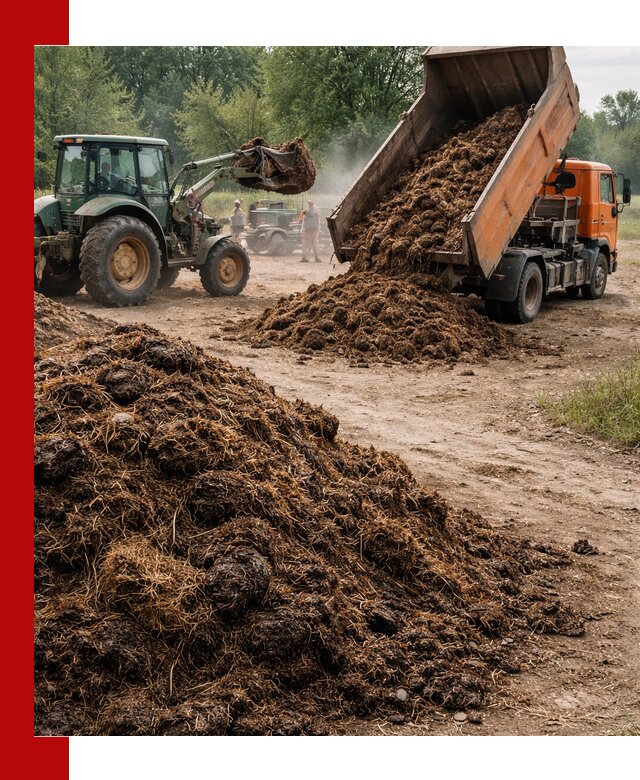 Доставка навоза самосвалами в Дагестанских Огнях для сельхозпотребностей